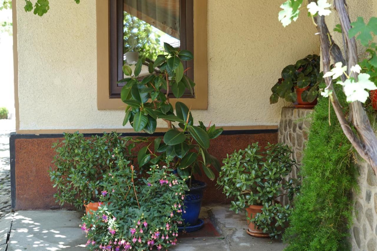 סיביאל Casa Ciortea Ana מראה חיצוני תמונה