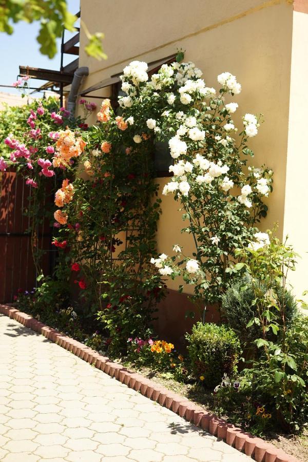 סיביאל Casa Ciortea Ana מראה חיצוני תמונה